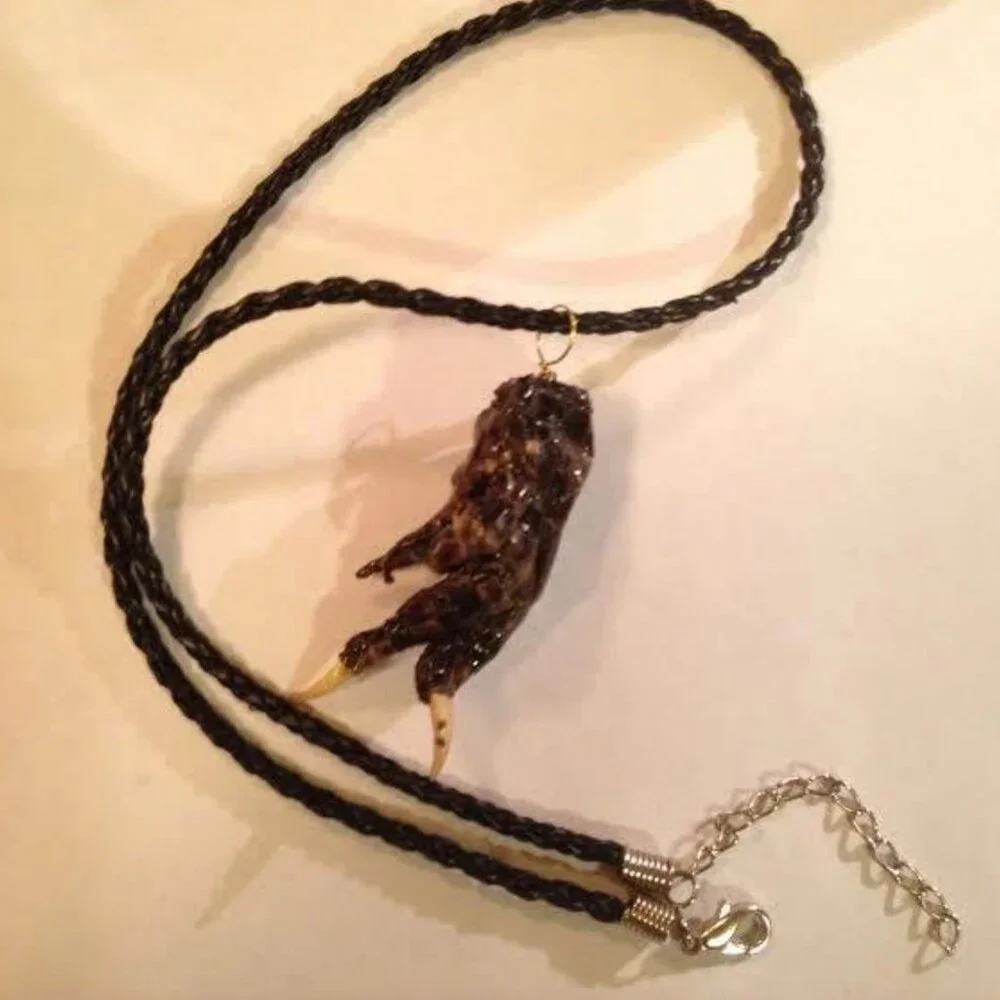 Louisiana Alligator Foot Claw Taxidermy Necklace on Black Braided Leather Straps - Picture 2 of 4